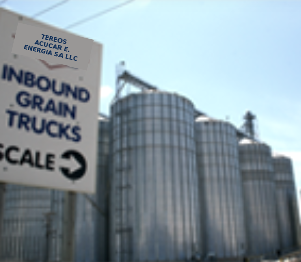 TEREOS ACUCAR E. ENERGIA SA LLC agricultural processing facility